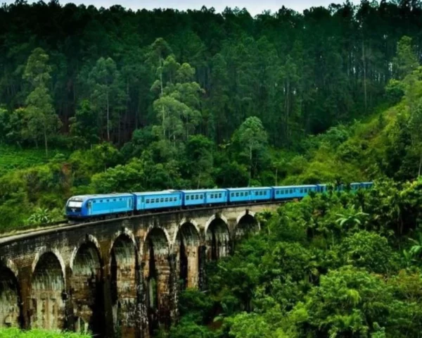 Discover Srilanka - Image 8