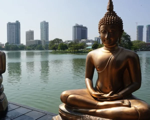 Discover Srilanka - Image 6