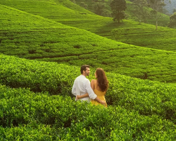 Romantic Sri Lanka Honeymoon